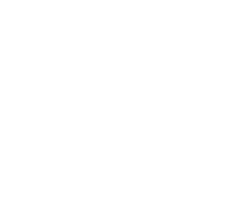 certified icon