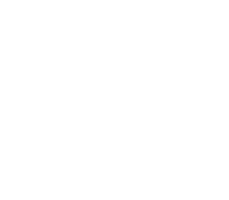 confidence icon